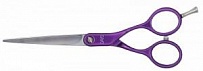 Ножницы DAYO прямые 6,0 фиолетовые ручки